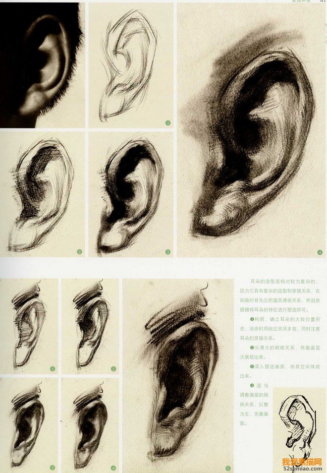 耳朵素描畫法
