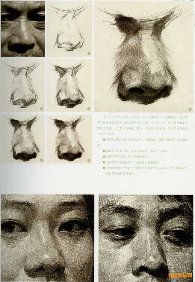 鼻子素描畫法