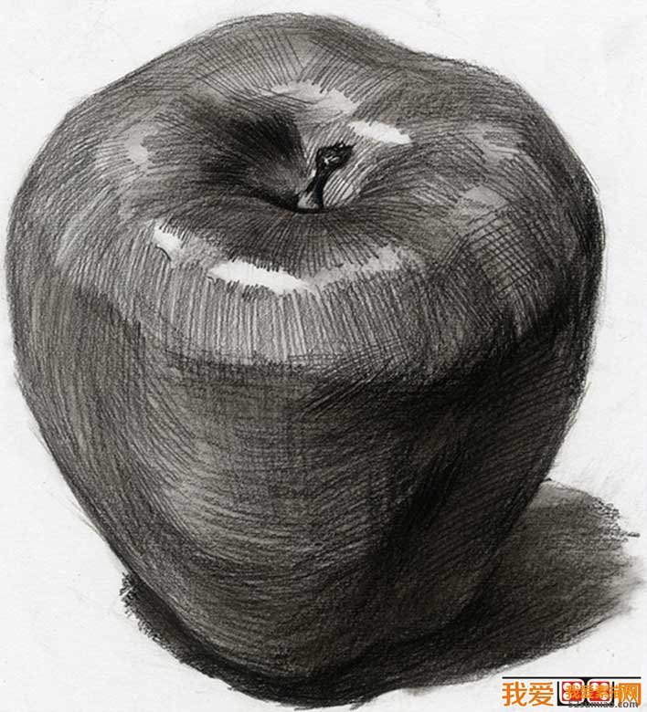素描蘋果圖片，單個水果素描靜物04