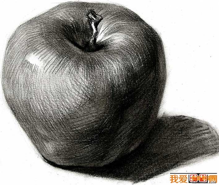 素描蘋果圖片，單個水果素描靜物05